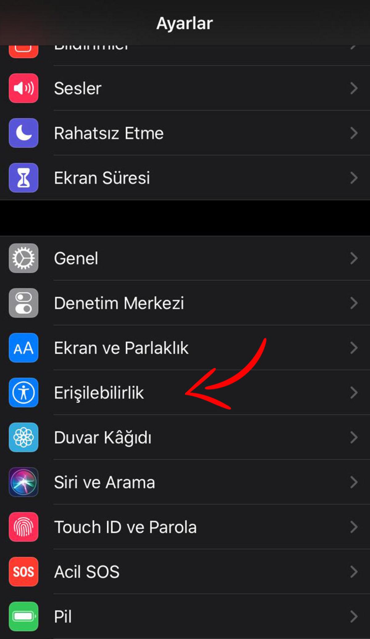 5 Adımda iPhone’unuzu Nasıl Siyah-Beyaz Yapabilirsiniz?