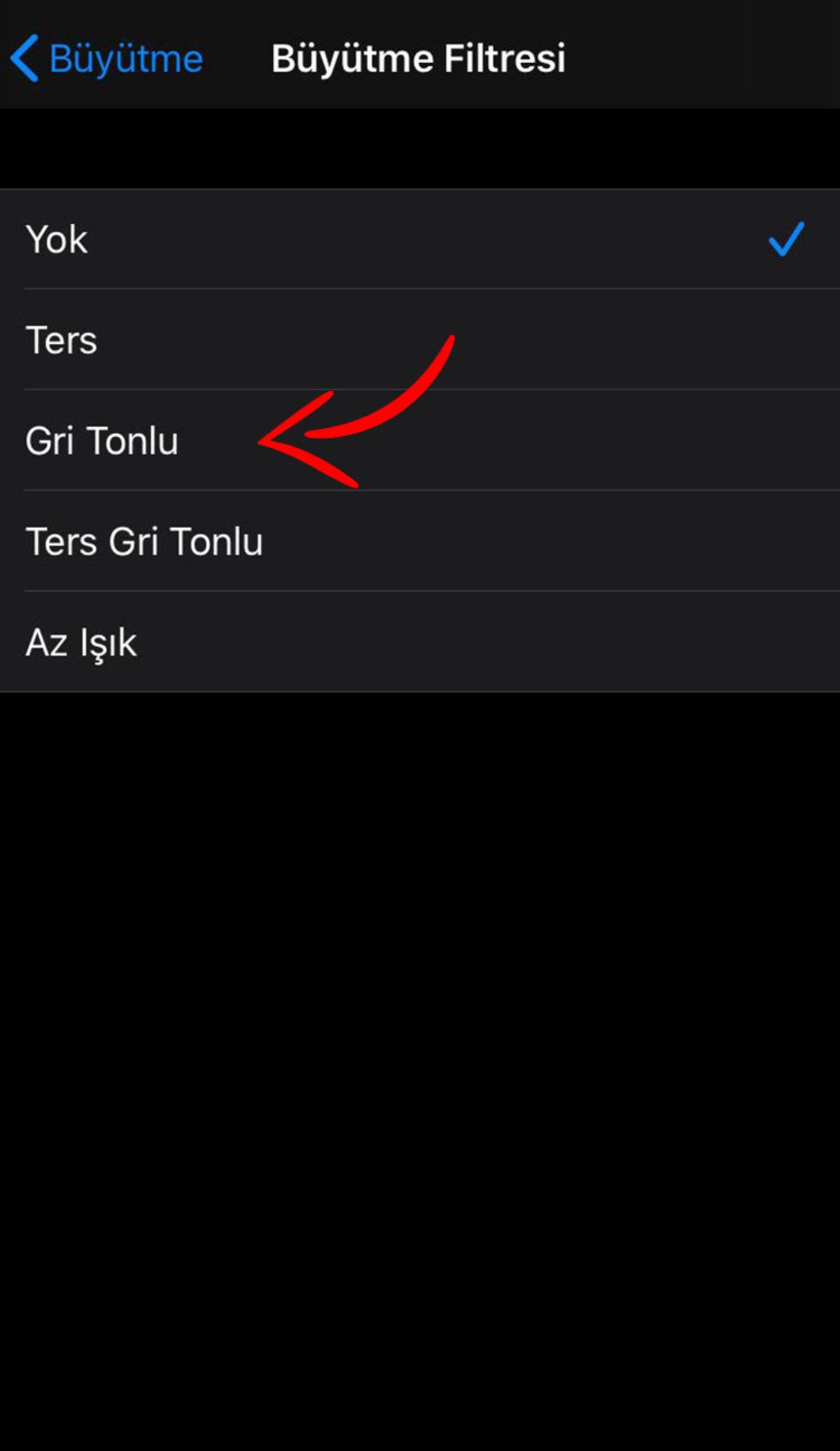 5 Adımda iPhone’unuzu Nasıl Siyah-Beyaz Yapabilirsiniz?