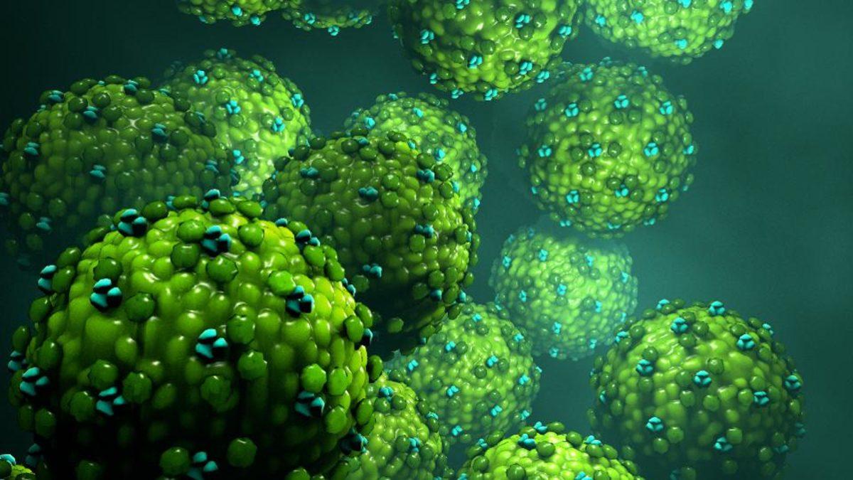 Laboratuvarlardan Sızan ’Modifiye Grip Virüsü’ Riskinin Kabul Edilemez Seviyede Olduğu Belirtildi