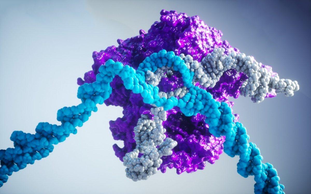 Laboratuvarlardan Sızan ’Modifiye Grip Virüsü’ Riskinin Kabul Edilemez Seviyede Olduğu Belirtildi