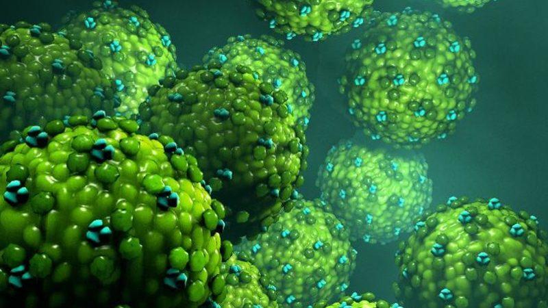 Laboratuvarlardan Sızan ’Modifiye Grip Virüsü’ Riskinin Kabul Edilemez Seviyede Olduğu Belirtildi