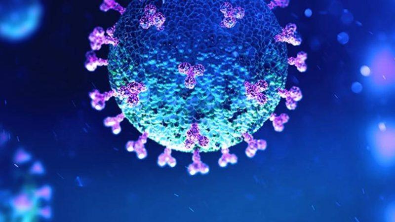 Prof. Dr. Mehmet Ceyhan’dan ‘Normalleşme’ Açıklaması: Çok Olumsuz Etki Yaptı