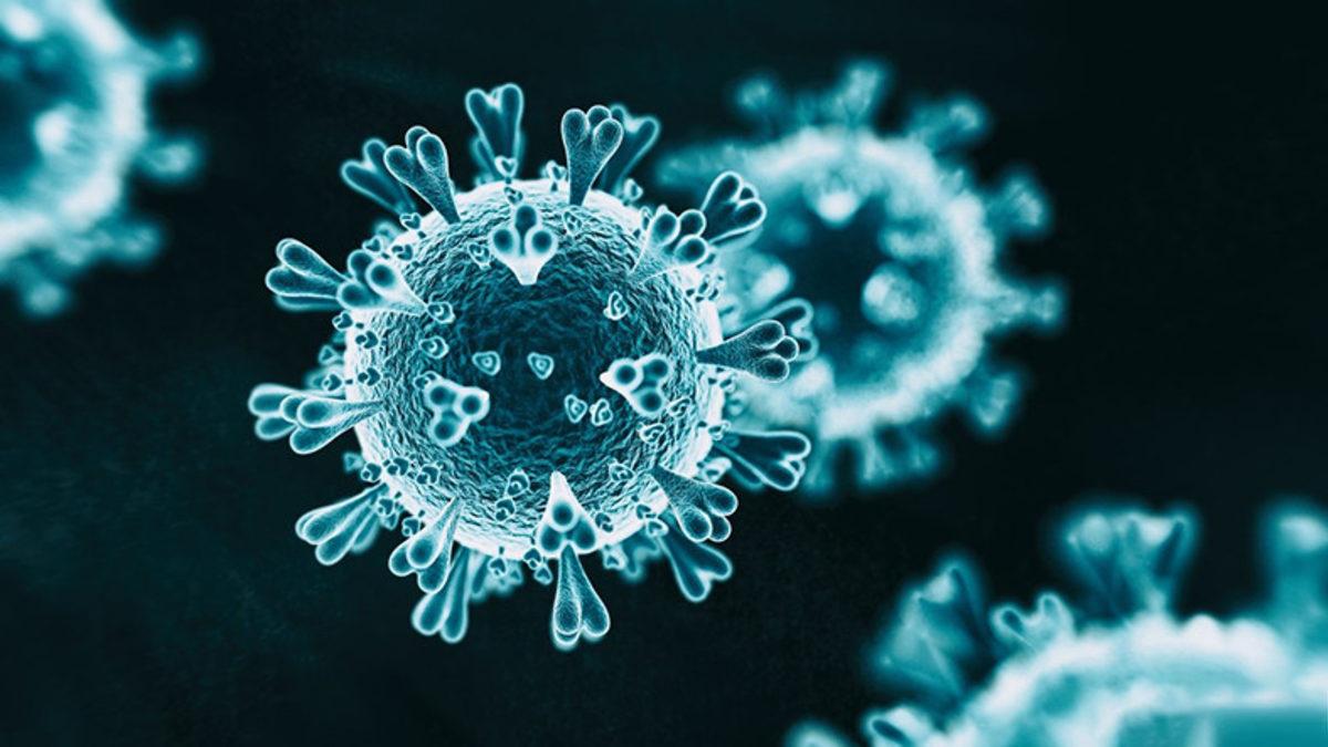 Prof. Dr. Mehmet Ceyhan’dan ‘Normalleşme’ Açıklaması: Çok Olumsuz Etki Yaptı