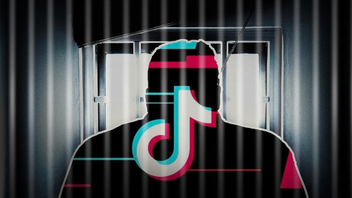 TikTok Hakkında Hiç de Şaşırtmayan Anket Sonuçları