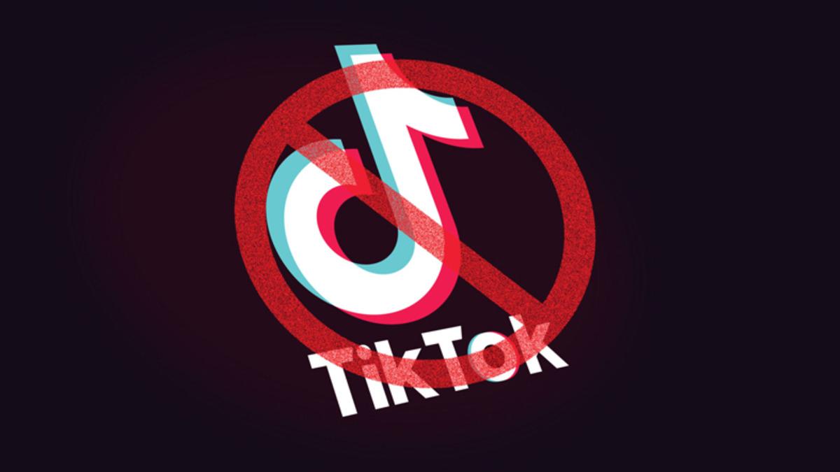 TikTok Hakkında Hiç de Şaşırtmayan Anket Sonuçları