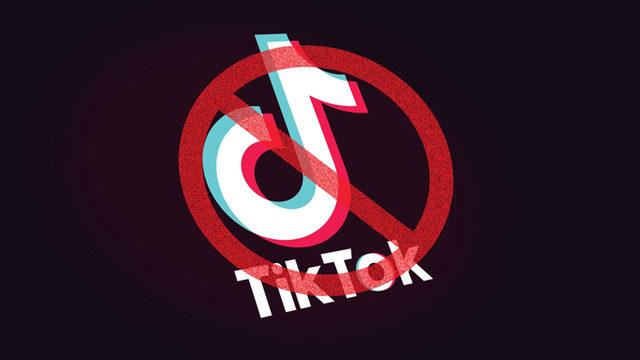 TikTok Hakkında Hiç de Şaşırtmayan Anket Sonuçları