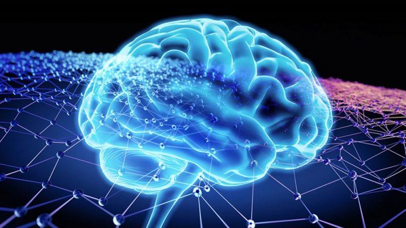 Beynimiz Bizi Ölüm Gerçeğinden Nasıl Koruyor?