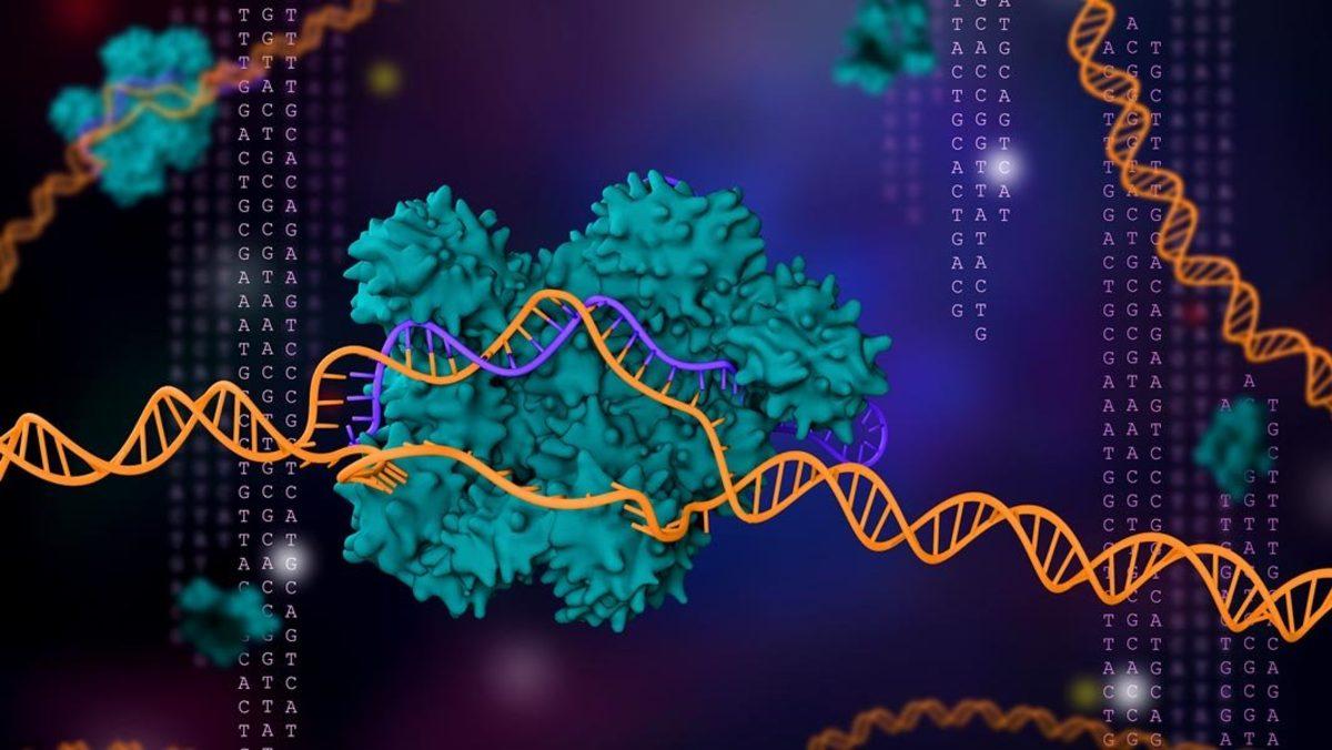 CRISPR’daki Bir Yenilik, Hücre Düzenlemede Çığır Açacak