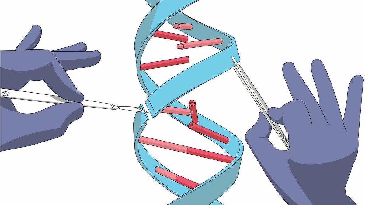 CRISPR’daki Bir Yenilik, Hücre Düzenlemede Çığır Açacak