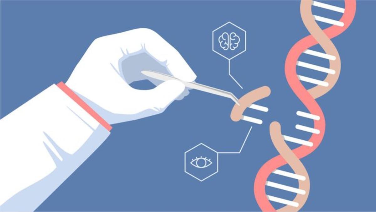 CRISPR’daki Bir Yenilik, Hücre Düzenlemede Çığır Açacak