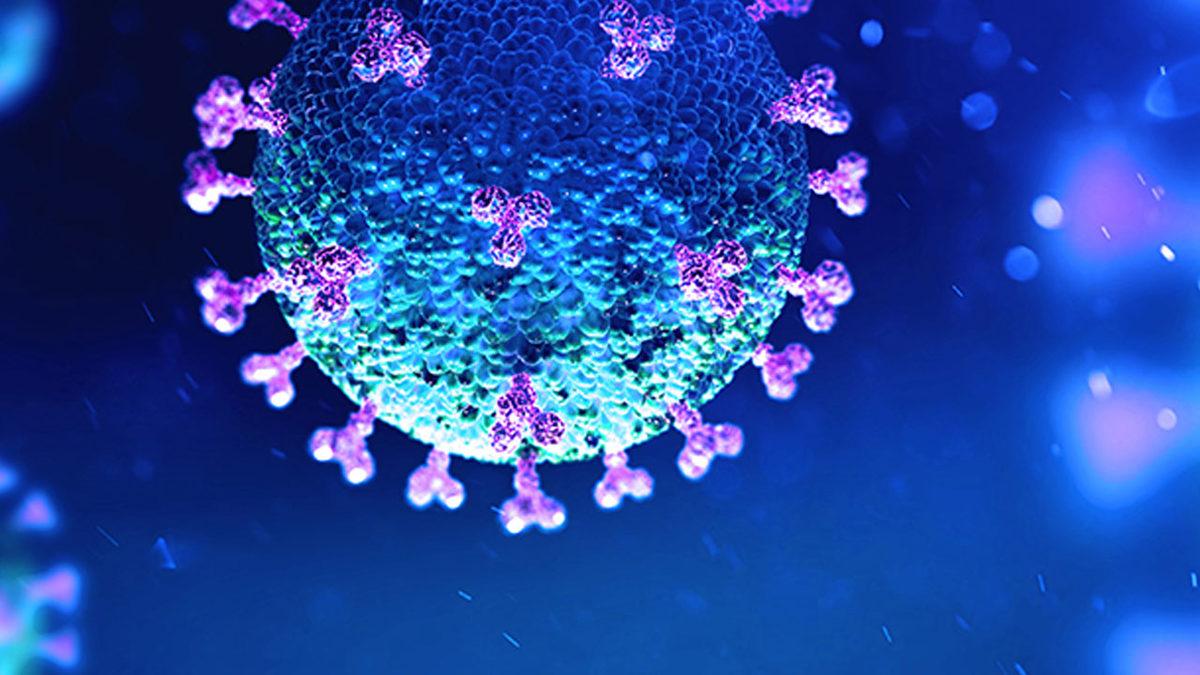 ABD’li Uzman: Yeni Mutasyon, Koronavirüsün Bulaşıcılığını Artırmış Olabilir