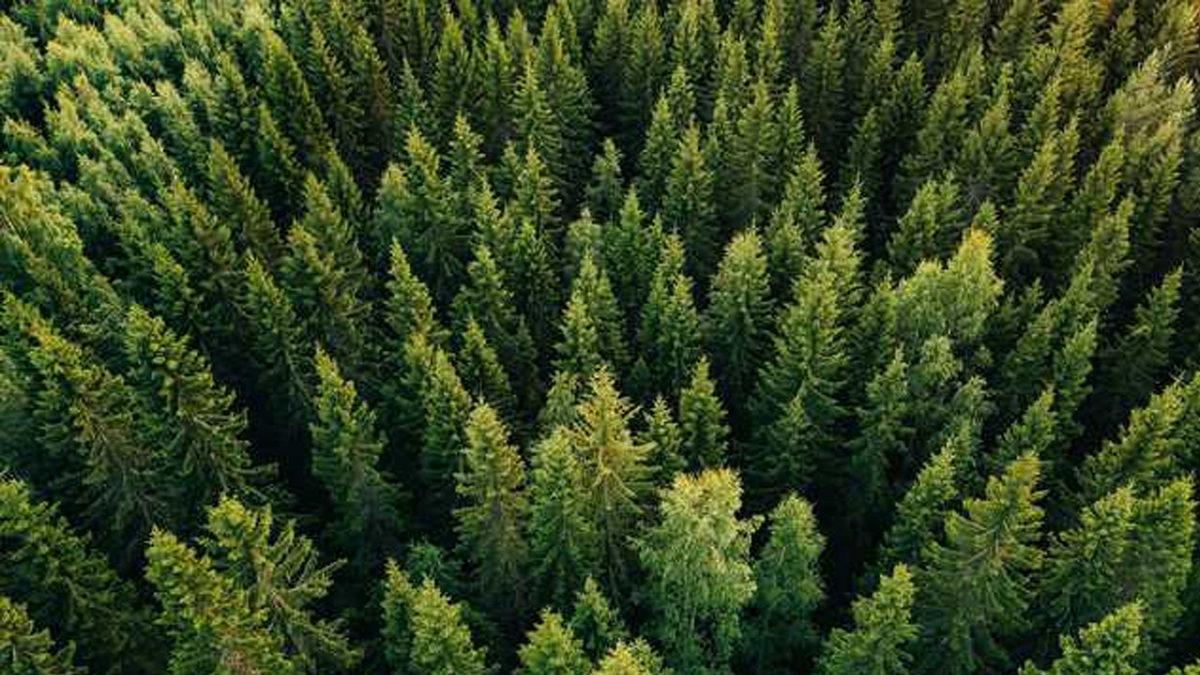 24 Saatte Dünya’da Neler Gerçekleşiyor?