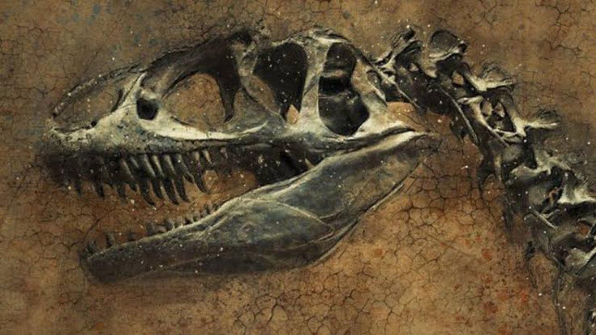 Dünyadaki Son Kitlesel Yok Oluşta Deniz Yaşamını Neyin Yok Ettiği Açıklandı