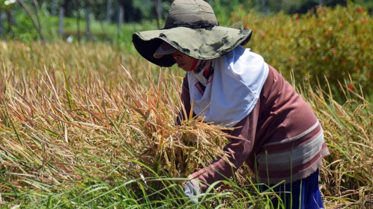 24 Saatte Dünya’da Neler Gerçekleşiyor?
