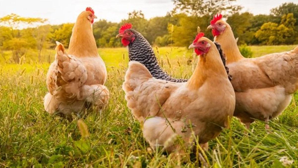 24 Saatte Dünya’da Neler Gerçekleşiyor?