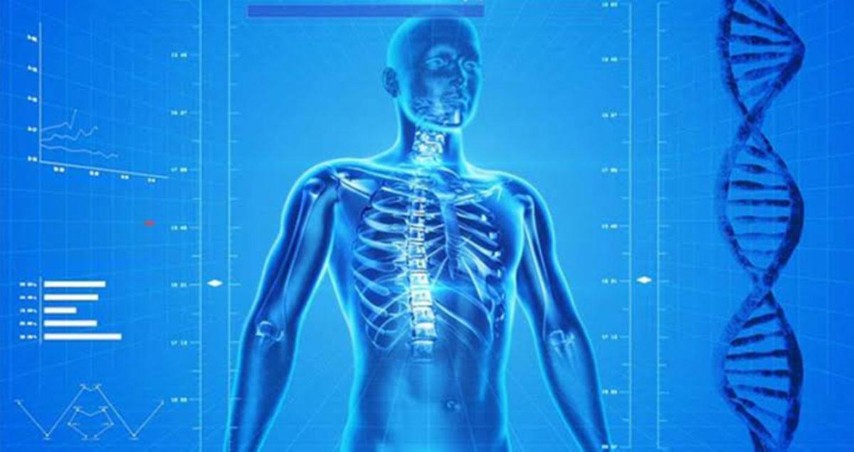 Tamamen Yanlış Olan 5 “Bilimsel” Gerçek