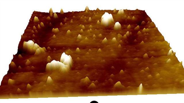 Türk Araştırmacılar, Yerli Atomotik Kuvvet Mikroskobuyla COVID-19’u Görüntülemeyi Başardı