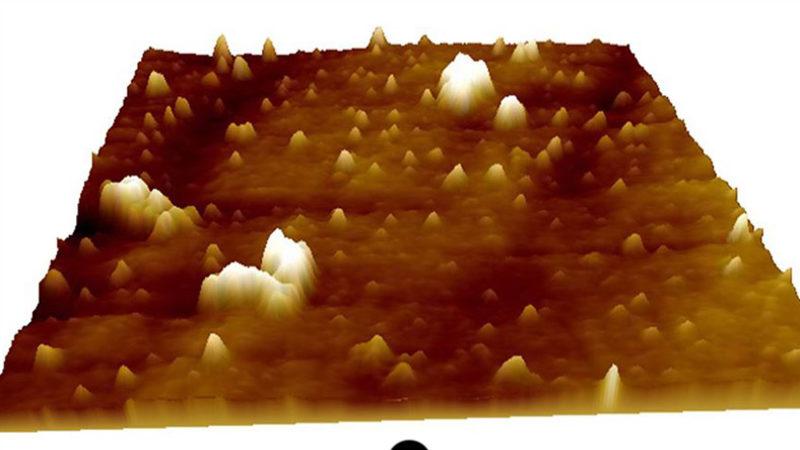 Türk Araştırmacılar, Yerli Atomotik Kuvvet Mikroskobuyla COVID-19’u Görüntülemeyi Başardı