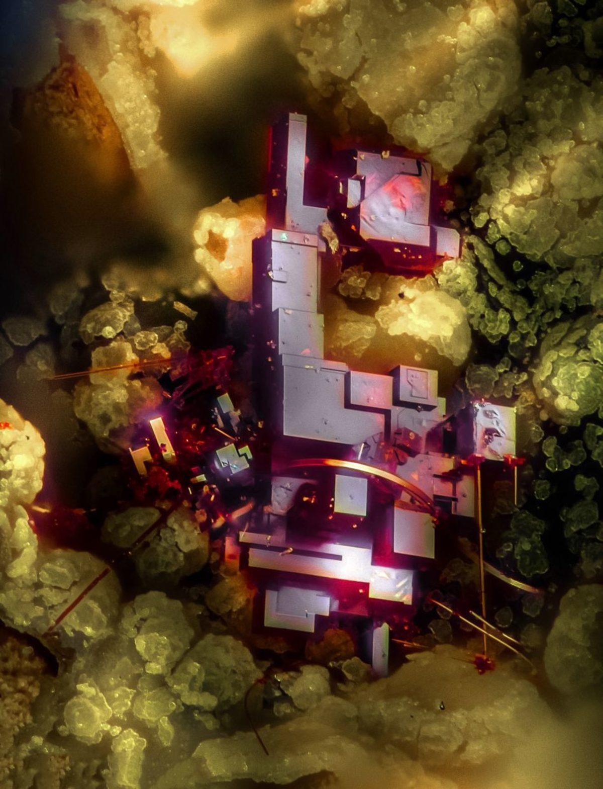 Gördüğünüz Anda Tüylerinizi Ürpertecek 20 Ultra Detaylı Mikroskobik Fotoğraf