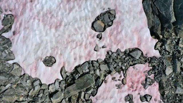 Alp Dağları’nda Küresel Isınmanın Etkisiyle Pembe Renkli Buzullar Ortaya Çıktı