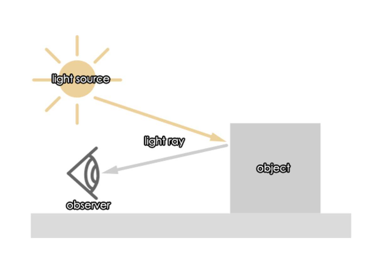 Araştırmacılar, Dolaylı Işığı Yakalayarak Kan Damarlarını Görüntülemeyi Başardı