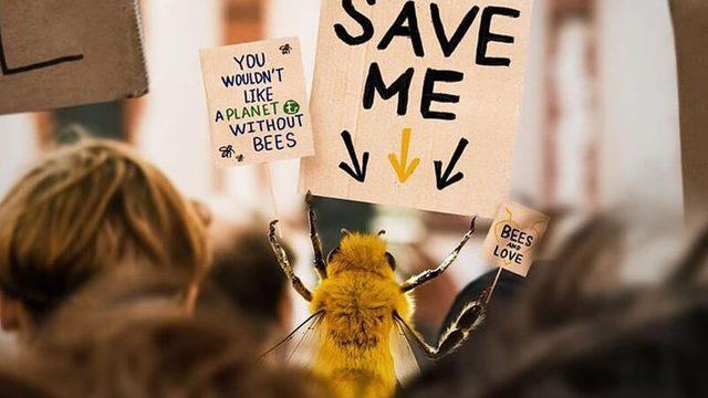 Dünyanın İlk ’Arı’ Influencer’ı ile Tanışın