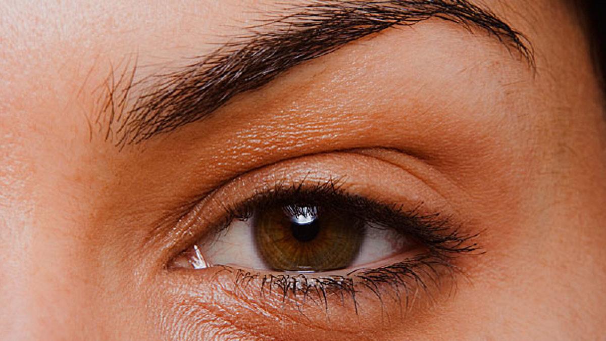 Dokunma Duyusu ve Göz Arasında Yeni Bir Bağlantı Keşfedildi