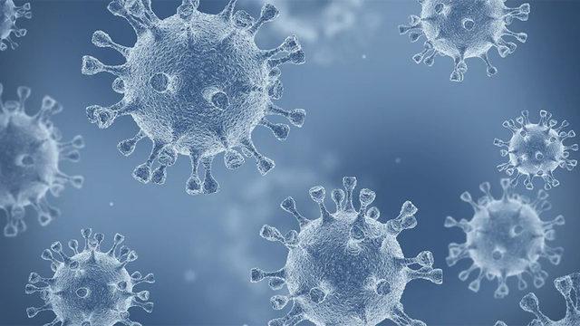 Bilim İnsanlarından Koronavirüs ile İlgili DSÖ’ye Açık Mektup