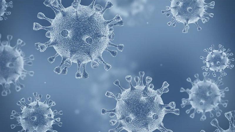 Bilim İnsanlarından Koronavirüs ile İlgili DSÖ’ye Açık Mektup