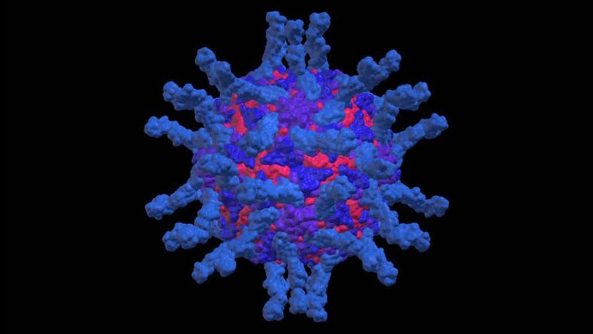 Çocuk Felcini Yeryüzünden Tamamen Kaldırmaya Yalnızca Bir Adım Kaldı