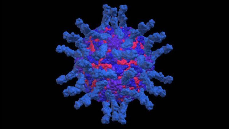Çocuk Felcini Yeryüzünden Tamamen Kaldırmaya Yalnızca Bir Adım Kaldı