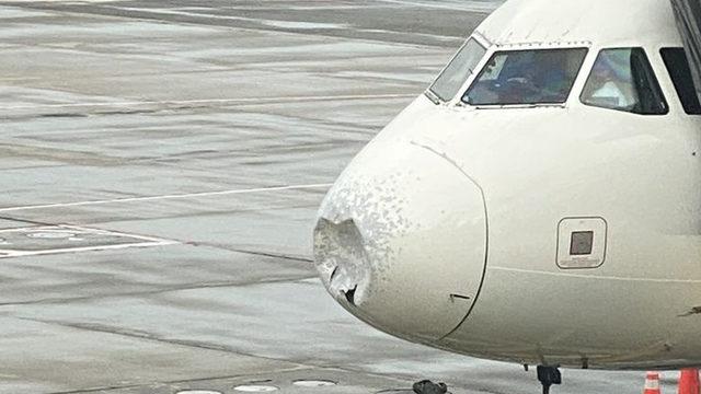 Airbus A319’un Burnuna Çarpan Bir Kuşun Verdiği Hayret Verici Hasar