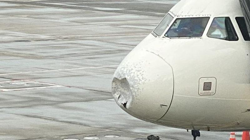 Airbus A319’un Burnuna Çarpan Bir Kuşun Verdiği Hayret Verici Hasar