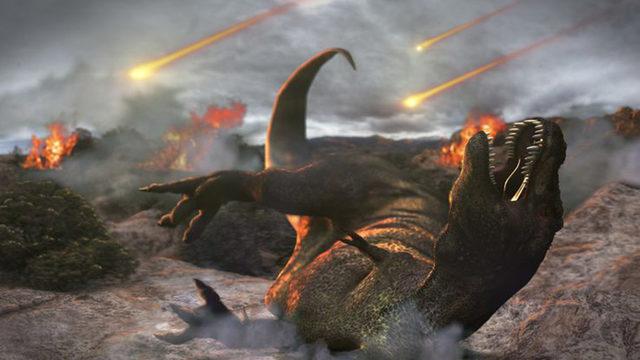 Araştırmacılar, Dinozor Sonrası Bilinmeyen Döneme Ait İzleri Taşıyan Fosiller Buldular