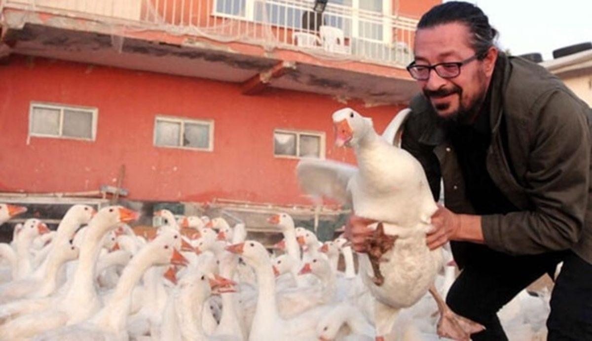 Çiftlik Bank’tan Sonra Şimdi de Kaz Bank: Milyonlarca TL Toplandı