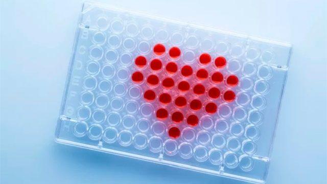 Tinder’ı Unutun: Aradığınız İnsan, DNA’larınızda Gizli Olabilir