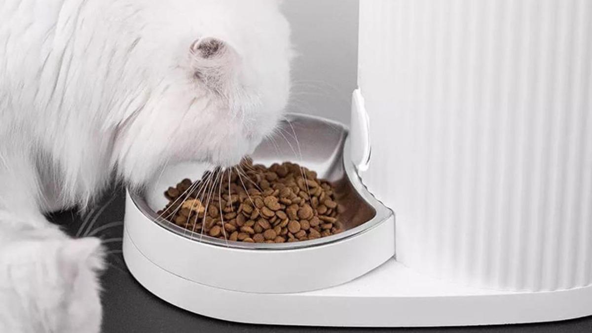 Xiaomi’nin 10.950 Cihazına Ulaşılmasına İzin Veren Güvenlik Açığı Bulundu