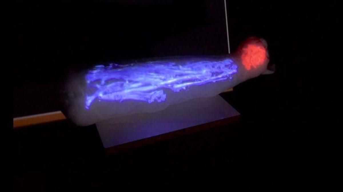 Bilim İnsanları, Buldukları Kedi Mumyalarının İçinde Ne Bulunduğunu Açıkladı