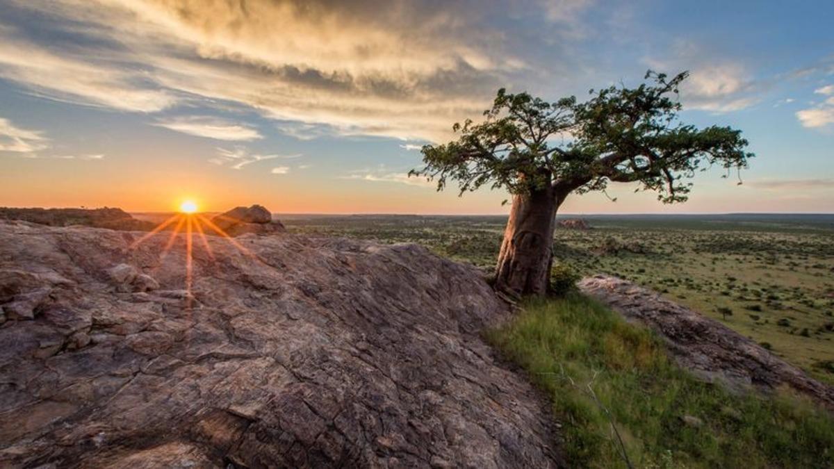 Bilim İnsanları, Dünya Üzerindeki Herkesin İlk Anayurdunu Keşfetti