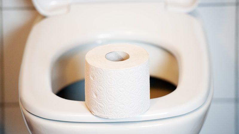 Dünyanın İlk ’Kaka’ Veritabanının Yardımınıza İhtiyacı Var