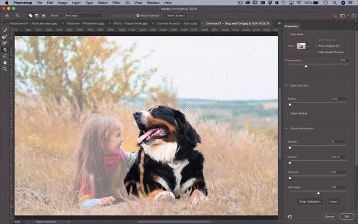 Adobe, Photoshop’un İyileştirilmiş “Nesne Seçim” Aracını Gösterdi (Video)