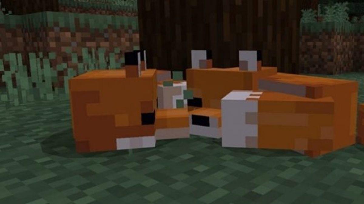 Minecraft’a Ek Paket Gibi Bir Güncelleme Geldi