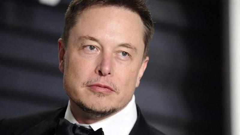 Elon Musk, Bir YouTuber’ın ‘Fidan Dikme’ Kampanyasına 1 Milyon Dolar Bağışladı