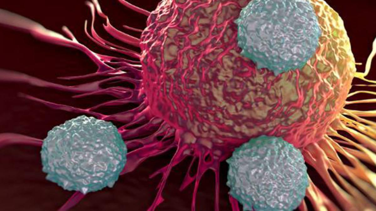 Kanserli Tümörlerin Büyümesini Engelleyen Yeni Bir Kanser İlacı Keşfedildi