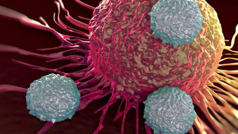 Kanserli Tümörlerin Büyümesini Engelleyen Yeni Bir Kanser İlacı Keşfedildi