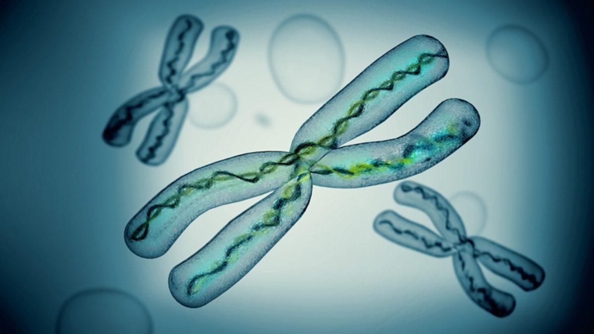 İnsan DNA’sındaki X Kromozomu İlk Kez Eksiksiz Bir Şekilde Dizildi