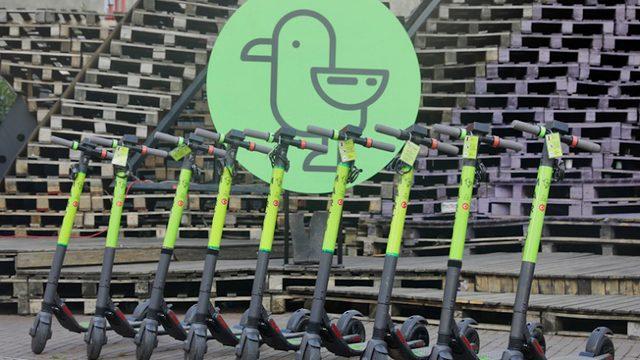 Elektrikli Scooter Girişimi Martı, Nasıl Bu Kadar Başarılı Oldu?