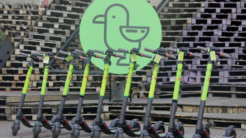 Elektrikli Scooter Girişimi Martı, Nasıl Bu Kadar Başarılı Oldu?