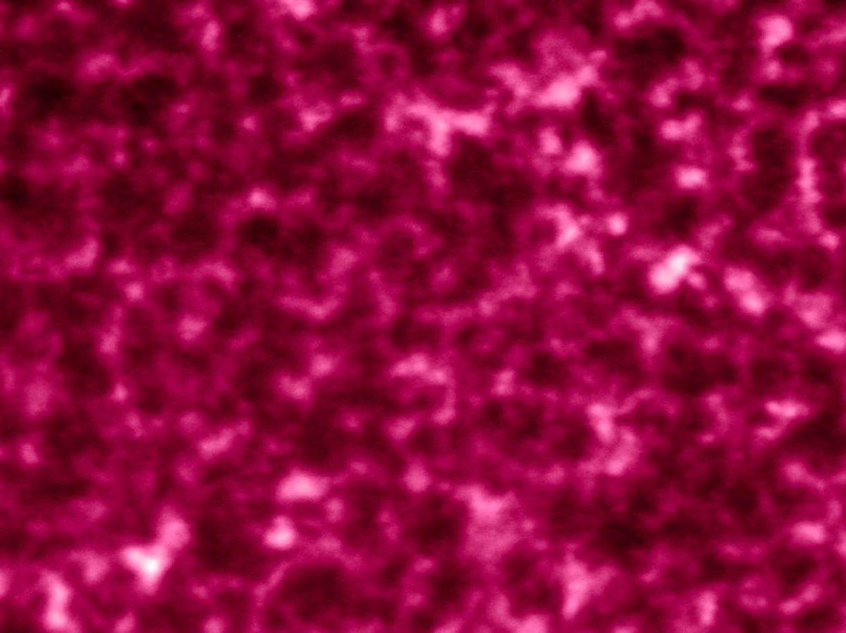 NASA ve ESA, Güneş’in Şimdiye Kadarki En Yakın Görüntülerini Paylaştı