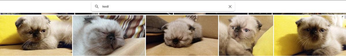 Google Fotoğraflar Uygulamasının Az Bilinen 12 Özelliği